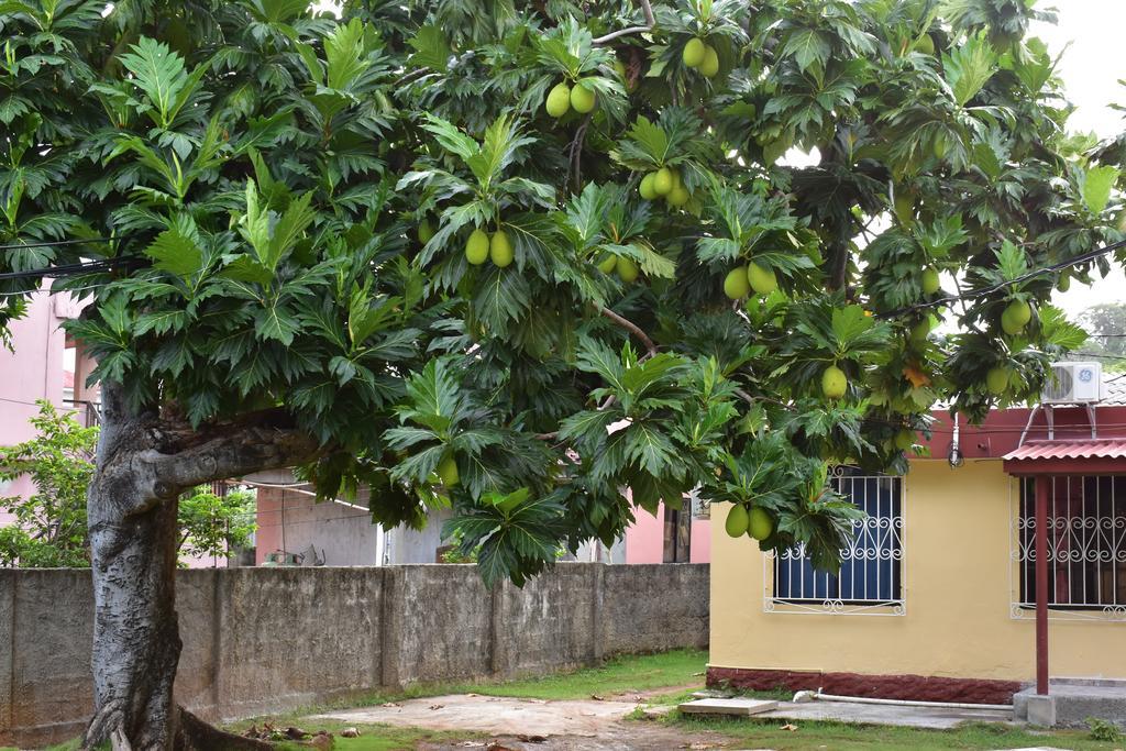 San Andrés Posada James المظهر الخارجي الصورة